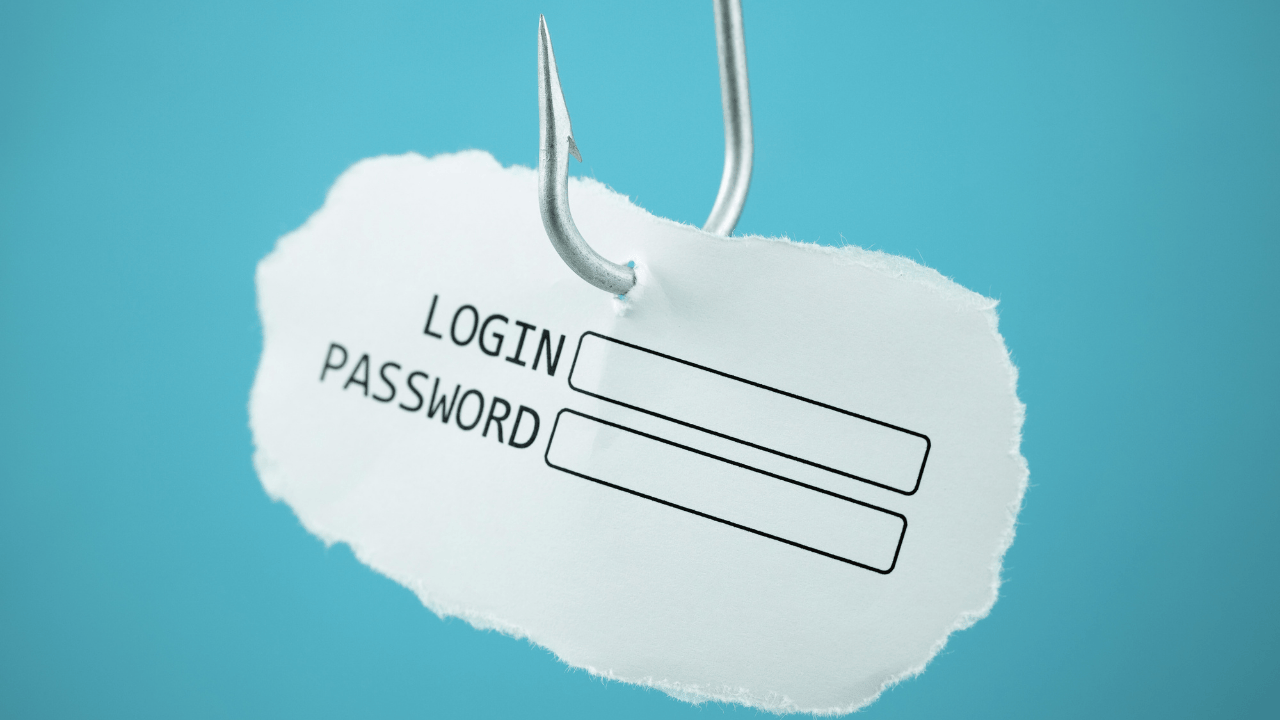 what to do if I clicked on a phishing link